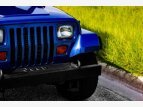 Thumbnail Photo 21 for 1994 Jeep Wrangler
